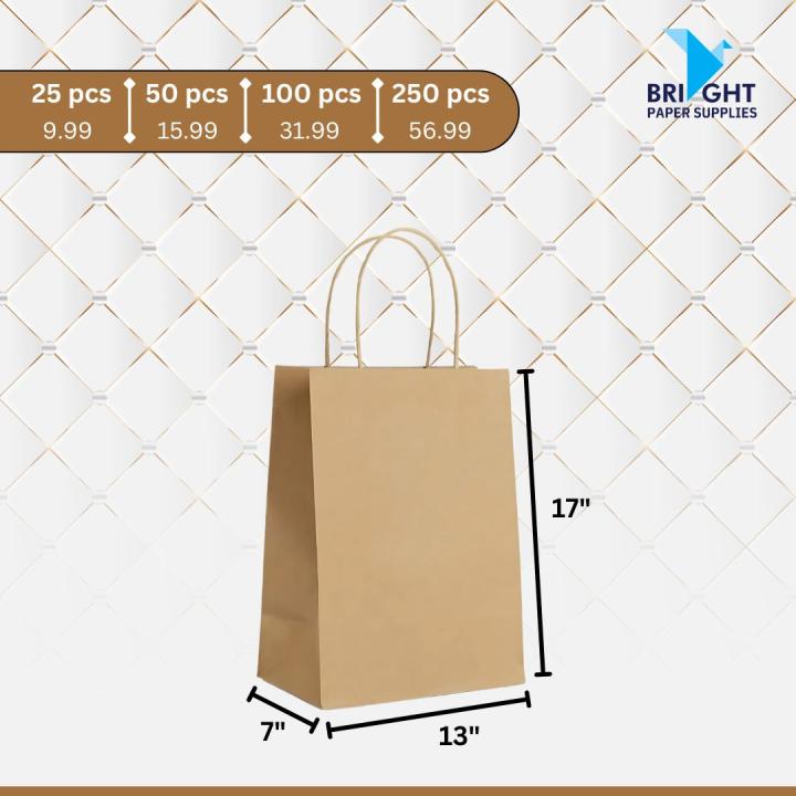 Handle Paper Bag – Large (13" x 7" x 17") (1,000 pcs)